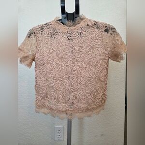 Zara Trafaluc Blush Lace Crop Top Mock Neck Short Sleeve Size M